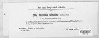 Puccinia dioicae image